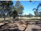 Singleton NSW 2330