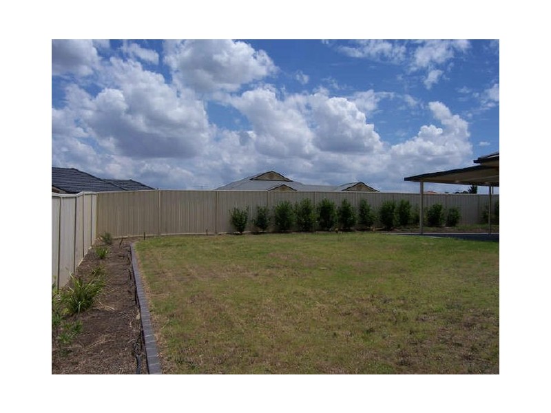 Singleton NSW 2330