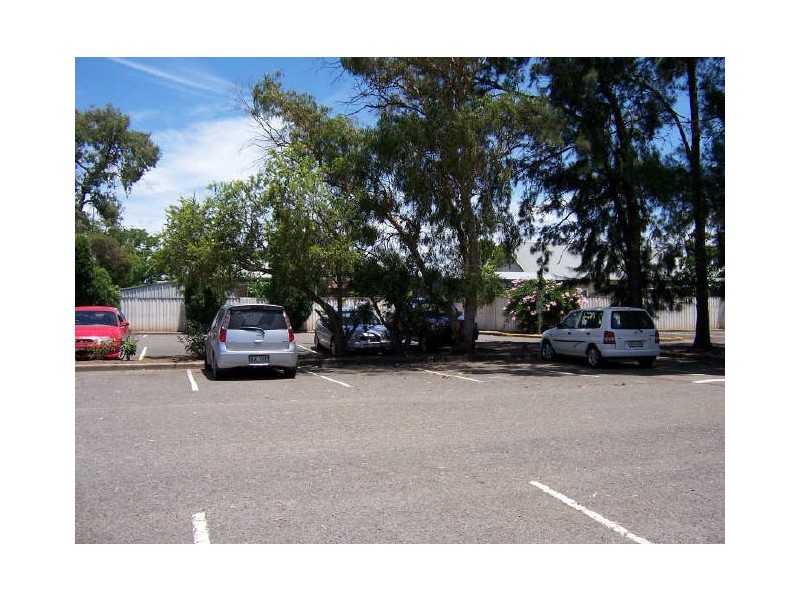 Singleton NSW 2330