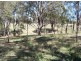 Singleton NSW 2330