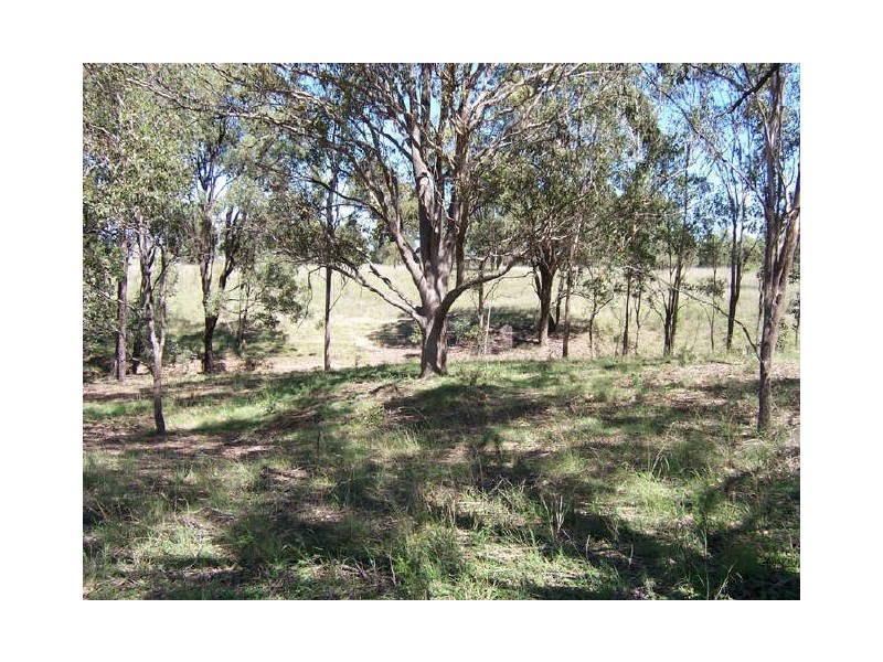 Singleton NSW 2330