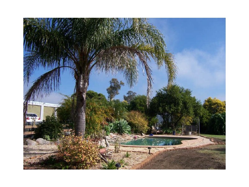 Lower Belford NSW 2335