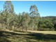 Singleton NSW 2330