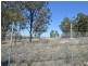 54 Woodlands Road, Singleton NSW 2330