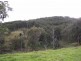 Lot 514 Goorangoola Creek Road, Singleton NSW 2330
