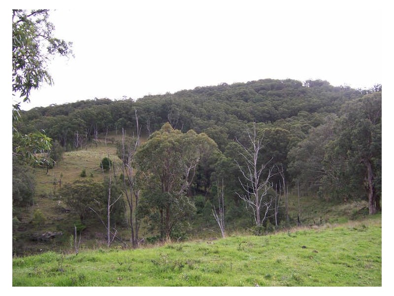 Lot 514 Goorangoola Creek Road, Singleton NSW 2330
