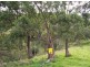 Lot 514 Goorangoola Creek Road, Singleton NSW 2330