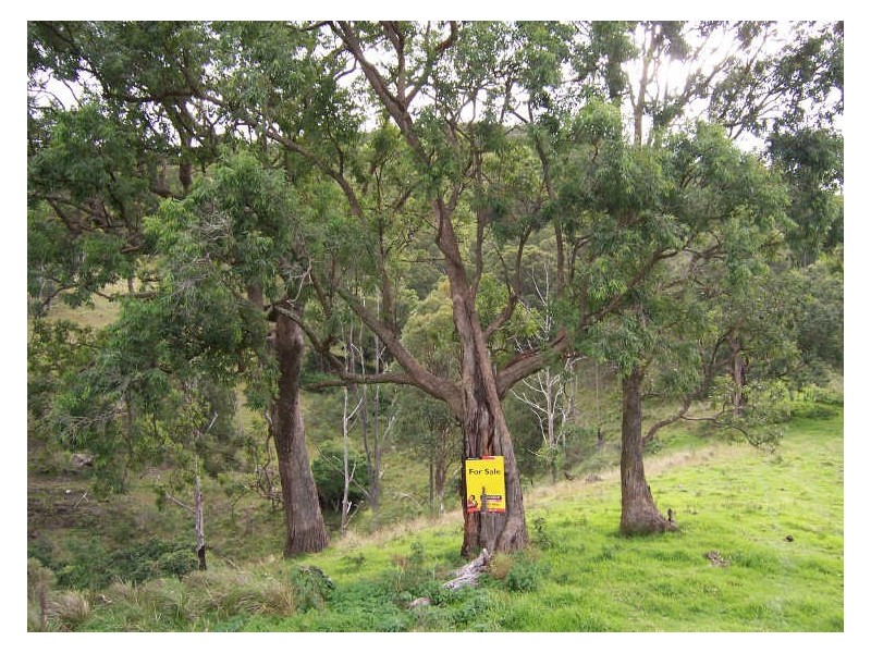Lot 514 Goorangoola Creek Road, Singleton NSW 2330