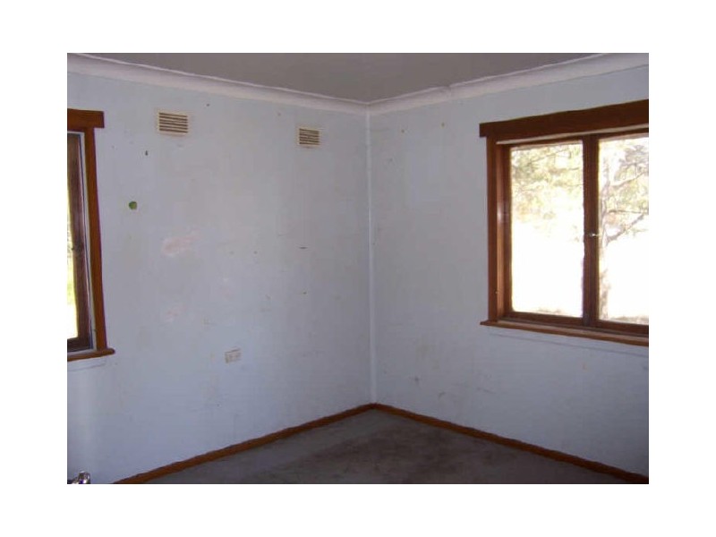 17 Wentworth Avenue, Singleton NSW 2330