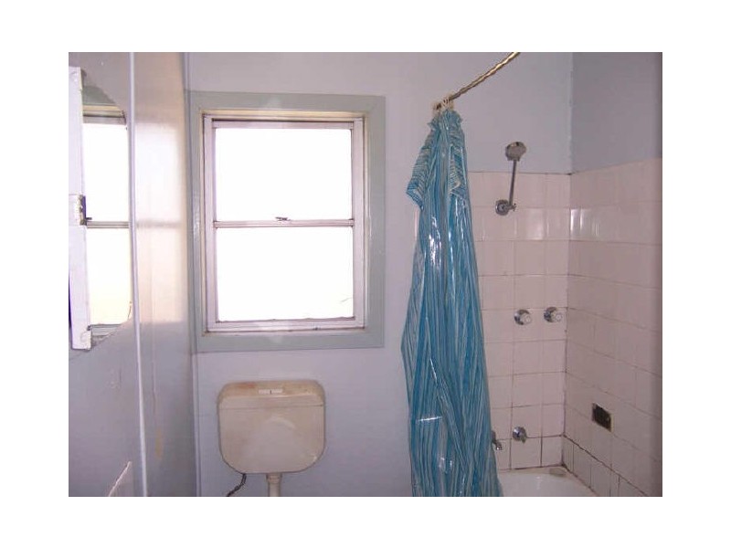 17 Wentworth Avenue, Singleton NSW 2330