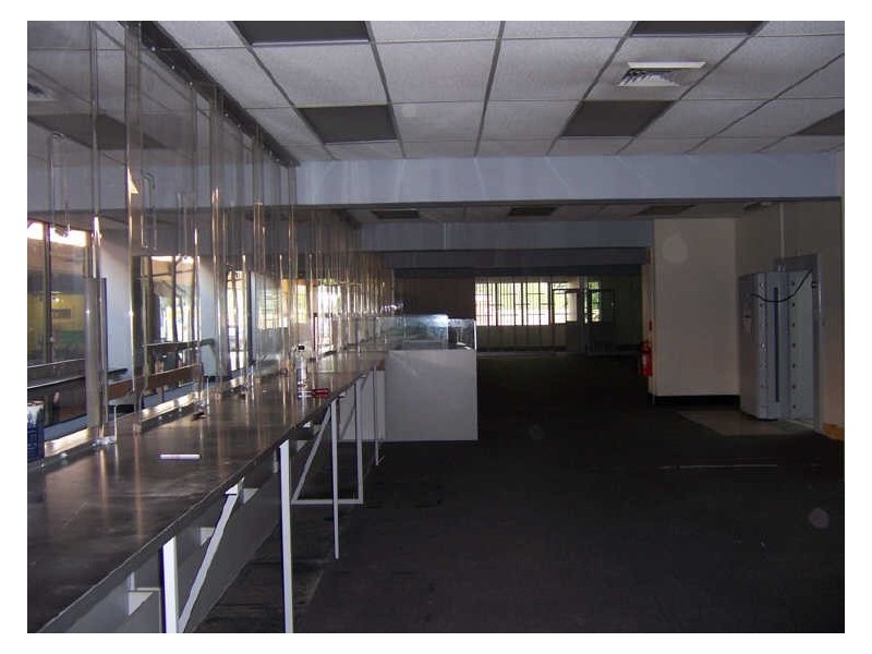 128 John Street, Singleton NSW 2330