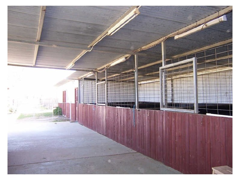 5 Lindsay Street Belford Equestrian Centre, Belford NSW 2335