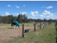 5 Lindsay Street Belford Equestrian Centre, Belford NSW 2335