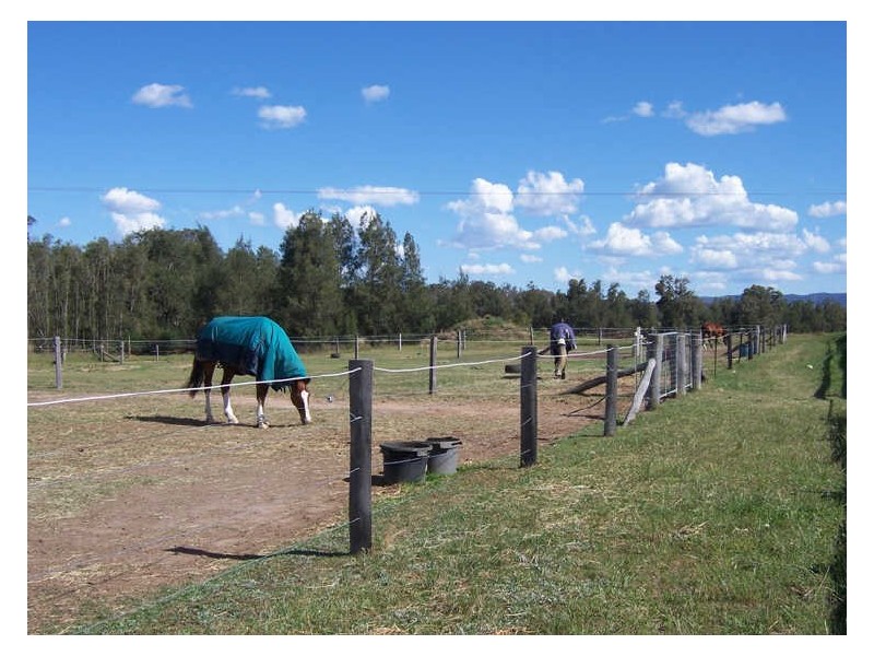 5 Lindsay Street Belford Equestrian Centre, Belford NSW 2335