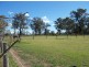 5 Lindsay Street Belford Equestrian Centre, Belford NSW 2335
