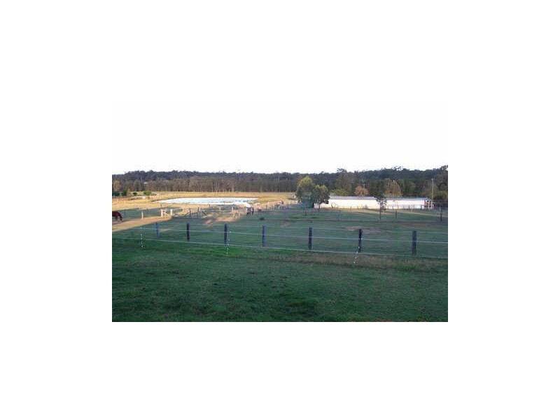 5 Lindsay Street Belford Equestrian Centre, Belford NSW 2335