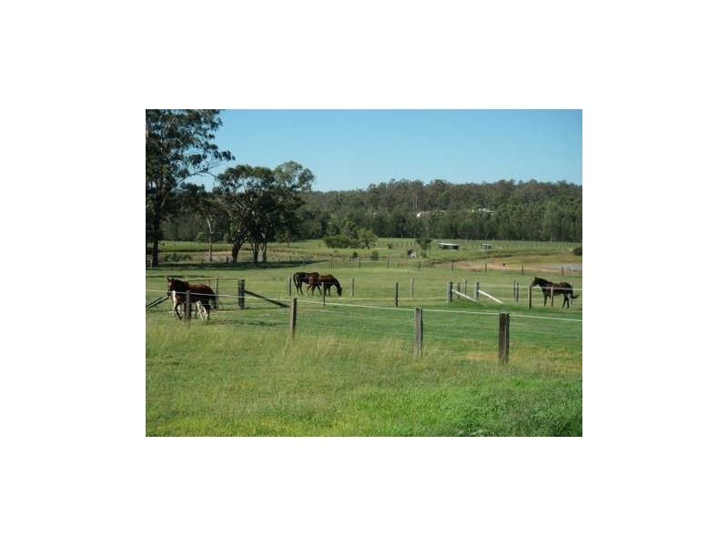 5 Linsday Street, Belford NSW 2335