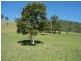 540 Carrowbrook Road, Singleton NSW 2330