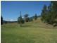 540 Carrowbrook Road, Singleton NSW 2330