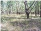 576 Dyrring Road, Singleton NSW 2330