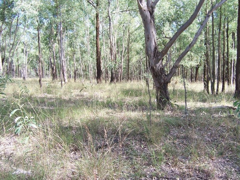 576 Dyrring Road, Singleton NSW 2330