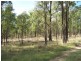 576 Dyrring Road, Singleton NSW 2330
