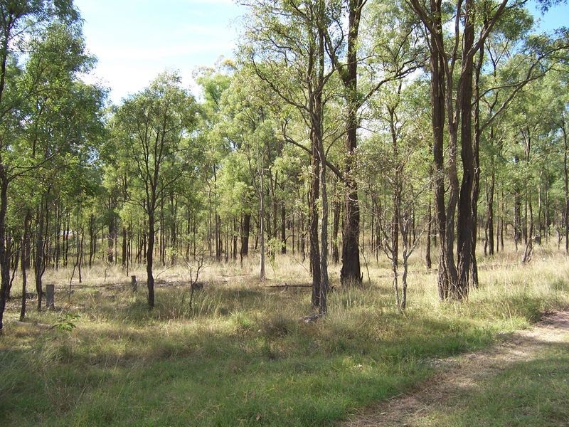 576 Dyrring Road, Singleton NSW 2330