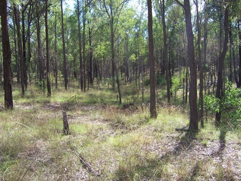 576 Dyrring Road, Singleton NSW 2330