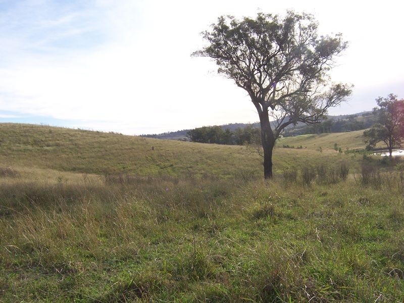 97 Judan Road, Singleton NSW 2330