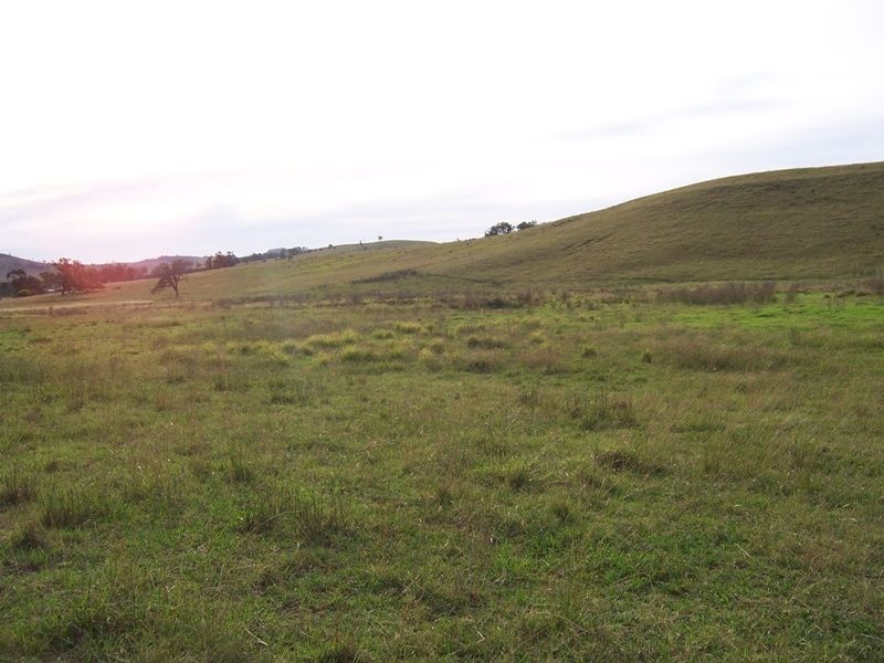 97 Judan Road, Singleton NSW 2330