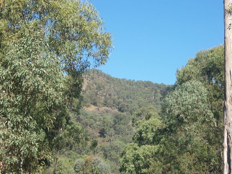 5677 Putty Road, Howes Valley NSW 2330