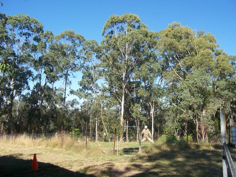5677 Putty Road, Howes Valley NSW 2330