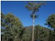 5677 Putty Road, Howes Valley NSW 2330
