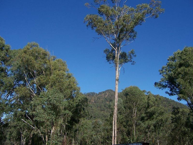 5677 Putty Road, Howes Valley NSW 2330