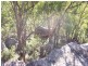 5677 Putty Road, Howes Valley NSW 2330