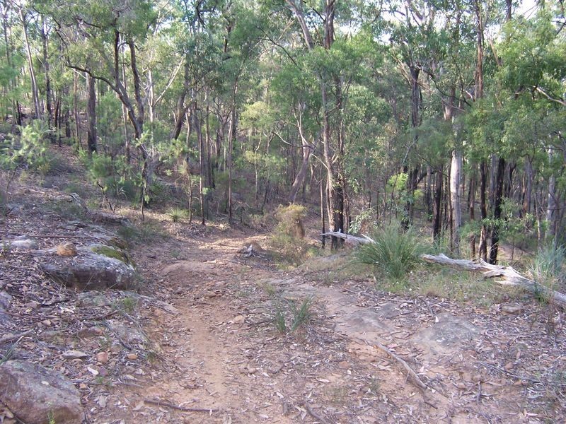 5677 Putty Road, Howes Valley NSW 2330
