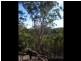 5677 Putty Road, Howes Valley NSW 2330