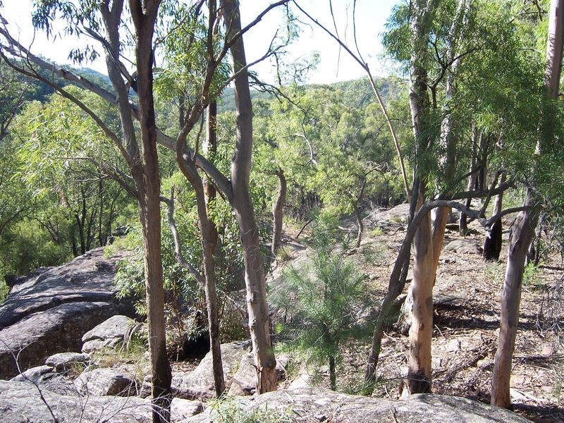 5677 Putty Road, Howes Valley NSW 2330