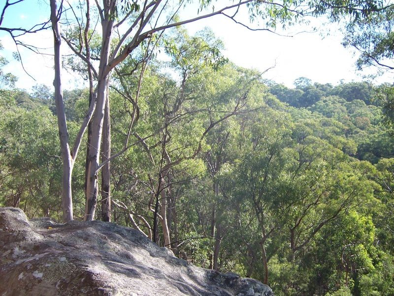 5677 Putty Road, Howes Valley NSW 2330