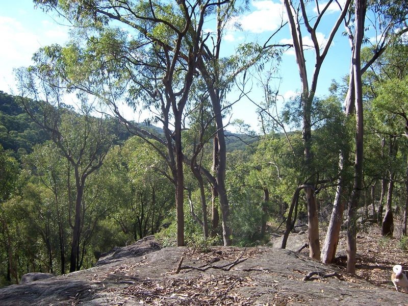 5677 Putty Road, Howes Valley NSW 2330
