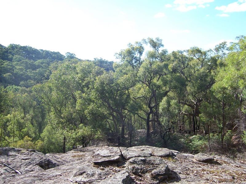 5677 Putty Road, Howes Valley NSW 2330