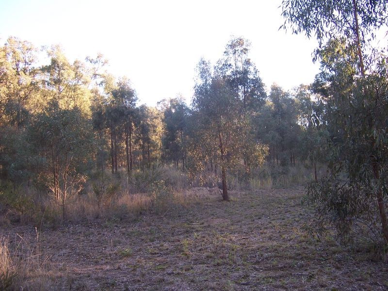 147 Inlet Road, Bulga NSW 2330
