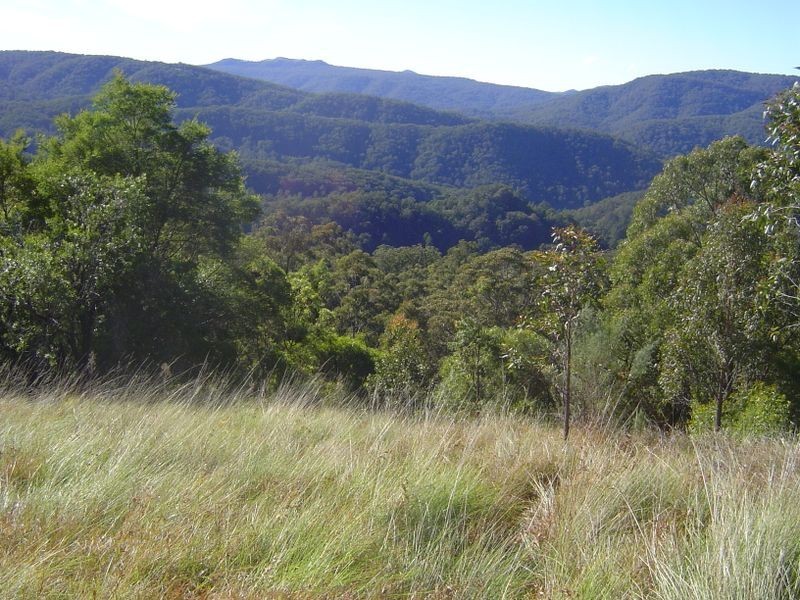 Lot 1 & 97 Goorangoola Creek Road, Singleton NSW 2330