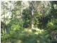 Lot 1 & 97 Goorangoola Creek Road, Singleton NSW 2330