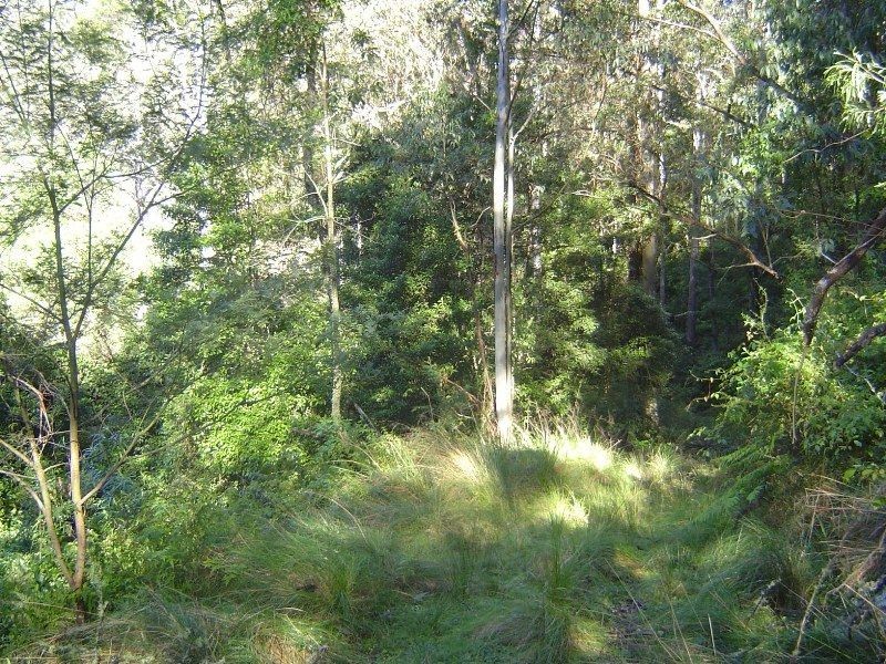 Lot 1 & 97 Goorangoola Creek Road, Singleton NSW 2330