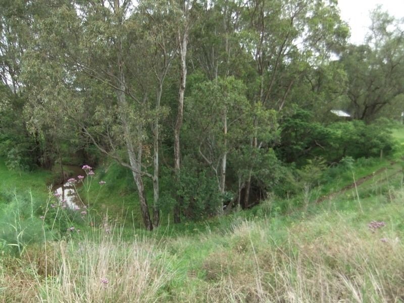 Lot 102 Wilkinson Boulevarde, Singleton NSW 2330