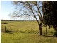4294 New England Highway, Whittingham NSW 2330