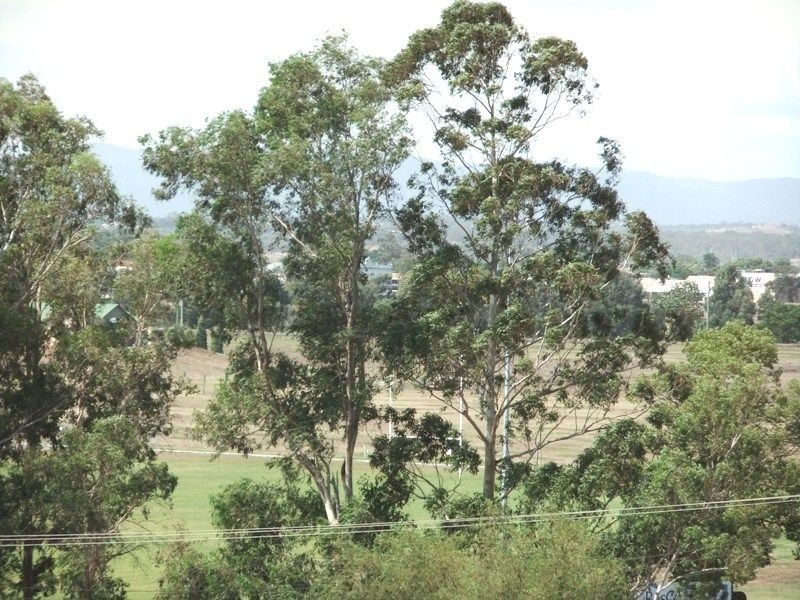 4 Roe Close, Singleton NSW 2330