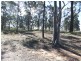 522 Maison Dieu Road, Singleton NSW 2330