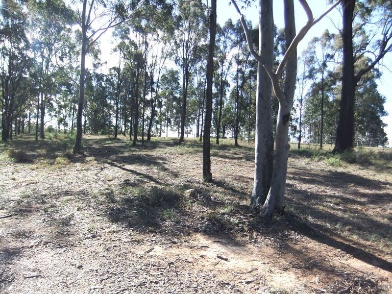 522 Maison Dieu Road, Singleton NSW 2330